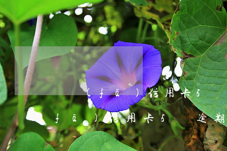 廣發(fā)信用卡5萬逾期了2年(廣發(fā)信用卡5萬逾期一個月)