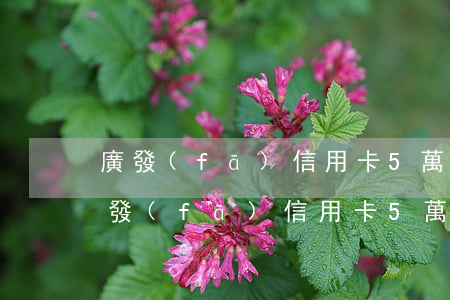 廣發(fā)信用卡5萬額度逾期18天(廣發(fā)信用卡5萬逾期1個月就起訴嗎)