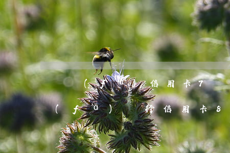 廣發(fā)信用卡7萬逾期9萬(欠了廣發(fā)銀行信用卡8萬逾期3個多月還不起起訴我怎么辦)