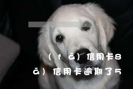 廣發(fā)信用卡8萬逾期6天(廣發(fā)信用卡逾期了5萬)