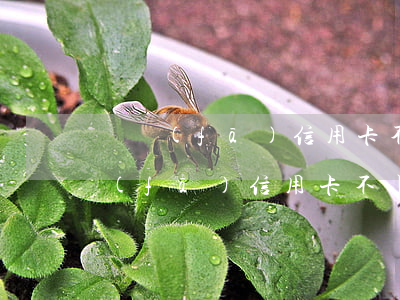 廣發(fā)信用卡不小心逾期了5天(廣發(fā)信用卡不小心逾期了5天怎么辦)