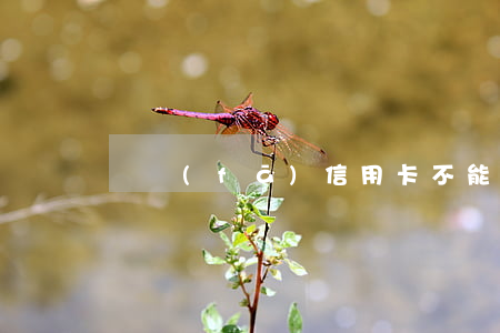 廣發(fā)信用卡不能協(xié)商