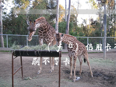 廣發(fā)信用卡不開卡(廣發(fā)卡刷不了卡)