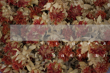 廣發(fā)信用卡二次逾期怎么辦(廣發(fā)卡信用卡逾期3天)