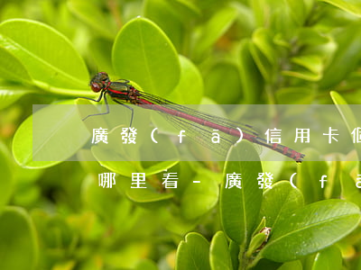 廣發(fā)信用卡個性化分期后的賬單在哪里看-廣發(fā)信用卡個性化分期后的賬單在哪里看到