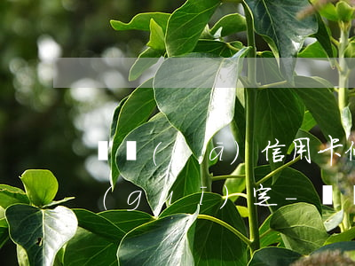 廣發(fā)信用卡停息掛賬2021新規(guī)定-廣發(fā)信用卡停息掛賬2021新規(guī)定是什么