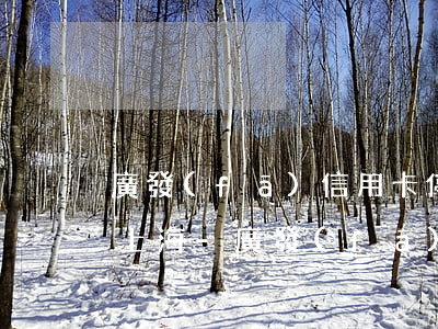 廣發(fā)信用卡停息掛賬政策2020上海-廣發(fā)銀行停息掛賬政策