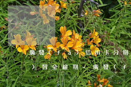 廣發(fā)信用卡分期金額和財(cái)智金逾期-廣發(fā)的信用卡額度和財(cái)智金是一起的額度?