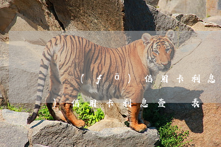 廣發(fā)信用卡利息查詢表(廣發(fā)信用卡利息查詢表圖片)