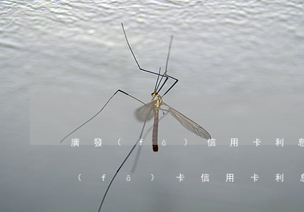 廣發(fā)信用卡利息計(jì)算(廣發(fā)卡信用卡利息怎么算)