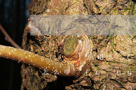 廣發(fā)信用卡協(xié)商停息掛賬怎么申請(qǐng)更有力-廣發(fā)卡協(xié)商還款終于成功了