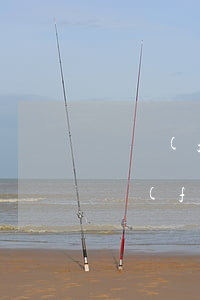 廣發(fā)信用卡協(xié)商減免(廣發(fā)信用卡協(xié)商減免流程)