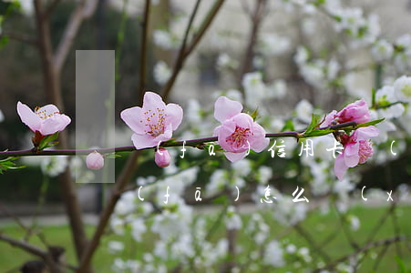 廣發(fā)信用卡協(xié)商解決(廣發(fā)怎么協(xié)商)