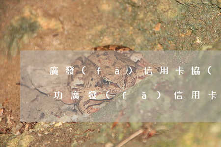 廣發(fā)信用卡協(xié)商還款成功(廣發(fā)信用卡協(xié)商還款成功案例)