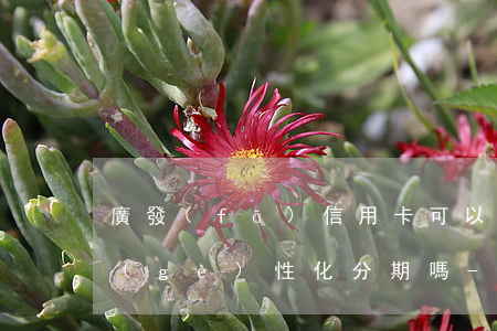 廣發(fā)信用卡可以協(xié)商個(gè)性化分期嗎-廣發(fā)信用卡可以協(xié)商個(gè)性化分期嗎