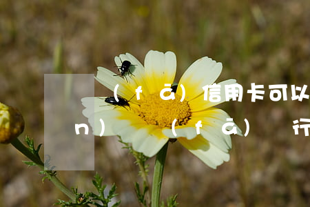 廣發(fā)信用卡可以透支取現(xiàn)(廣發(fā)銀行信用卡掌上取現(xiàn)好不好)