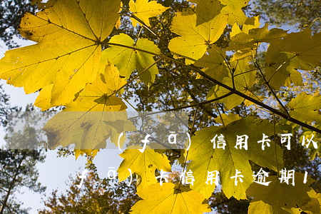 廣發(fā)信用卡可以逾期多少天(廣發(fā)卡信用卡逾期1天)