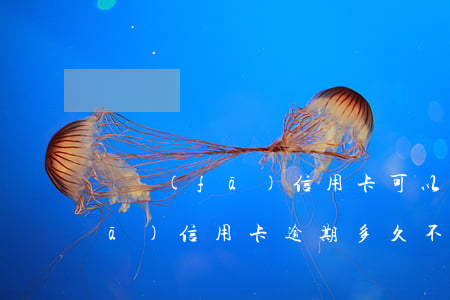 廣發(fā)信用卡可以逾期還嗎(廣發(fā)信用卡逾期多久不可以用)