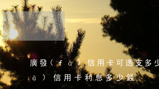 廣發(fā)信用卡可透支多少錢(廣發(fā)信用卡利息多少錢)