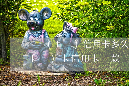廣發(fā)信用卡多久沒還算逾期(廣發(fā)卡信用卡還款時間有延期嗎)