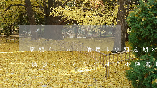 廣發(fā)信用卡小額逾期3天入征信-廣發(fā)信用卡小額逾期3天入征信了嗎