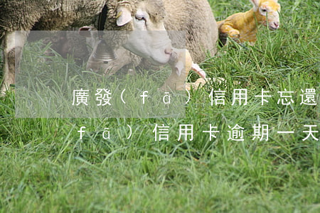 廣發(fā)信用卡忘還樂逾期三天(廣發(fā)信用卡 逾期一天)