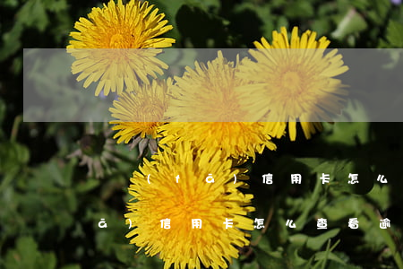 廣發(fā)信用卡怎么查看逾期(廣發(fā)信用卡怎么查看逾期)