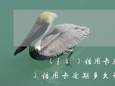 廣發(fā)信用卡怎么算逾期(廣發(fā)信用卡逾期多久不可以用)