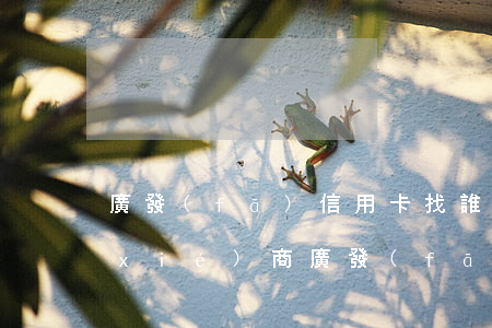 廣發(fā)信用卡找誰(shuí)協(xié)商(廣發(fā)信用卡找誰(shuí)協(xié)商還本金)