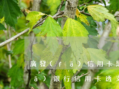廣發(fā)信用卡是不是能透支(廣發(fā)銀行信用卡透支額度)
