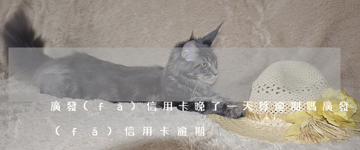 廣發(fā)信用卡晚了一天算逾期嗎(廣發(fā) 信用卡 逾期)