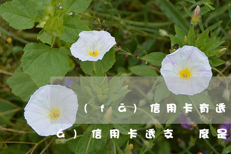 廣發(fā)信用卡有透支額度嗎(廣發(fā)信用卡透支額度是多少)