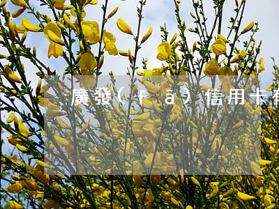 廣發(fā)信用卡有逾期記錄