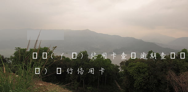 廣發(fā)信用卡查詢逾期(查詢廣發(fā)銀行信用卡)
