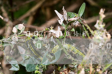 廣發(fā)信用卡欠二萬多(欠廣發(fā)銀行信用卡一萬多會被起訴嗎)