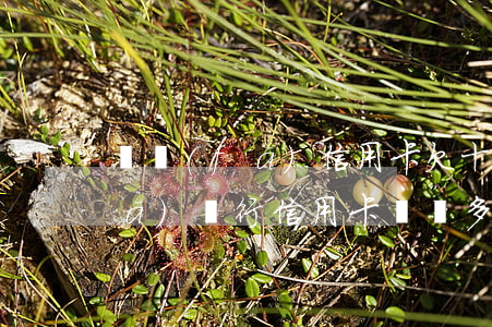 廣發(fā)信用卡欠十幾萬-欠廣發(fā)銀行信用卡兩萬多還不上會被起訴嗎