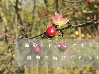 廣發(fā)信用卡欠款40萬(wàn)逾期(欠廣發(fā)銀行信用卡兩萬(wàn)多還不上會(huì)被起訴嗎)