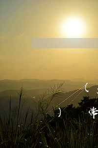 廣發(fā)信用卡狀逾期后狀態(tài)異常 廣發(fā)銀行反饋此卡狀態(tài)異常是為什么