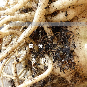 廣發(fā)信用卡申請(qǐng)逾期(廣發(fā)信用卡 逾期一天)
