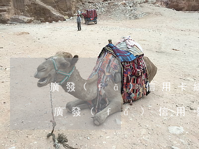 廣發(fā)信用卡總欠款6萬逾期3萬-廣發(fā)信用卡總欠款6萬逾期3萬怎么辦