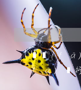 廣發(fā)信用卡能透支消費多少(廣發(fā)銀行卡可以透支多少錢)