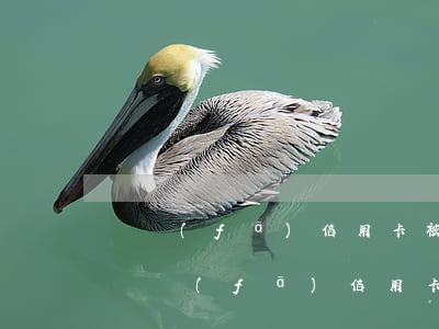 廣發(fā)信用卡被降額欠的(2020年廣發(fā)信用卡降額)