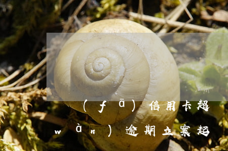 廣發(fā)信用卡超過(guò)5萬(wàn)逾期立案起訴-廣發(fā)信用卡超過(guò)5萬(wàn)逾期立案起訴案例