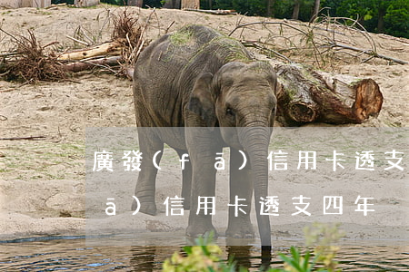廣發(fā)信用卡透支四年沒還(廣發(fā)信用卡透支四年沒還)
