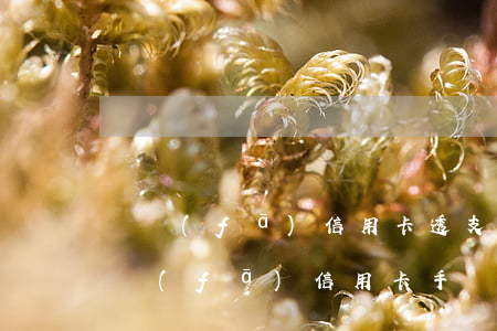 廣發(fā)信用卡透支手續(xù)費(廣發(fā)信用卡手續(xù)費怎么算)