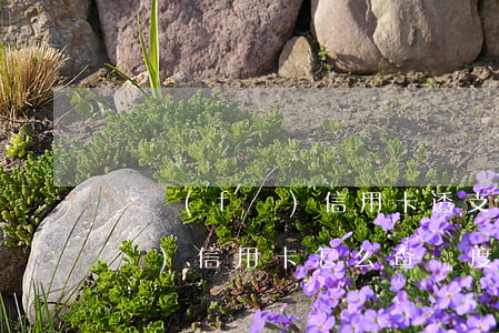 廣發(fā)信用卡透支額怎么查(廣發(fā)信用卡怎么查額度是多少)