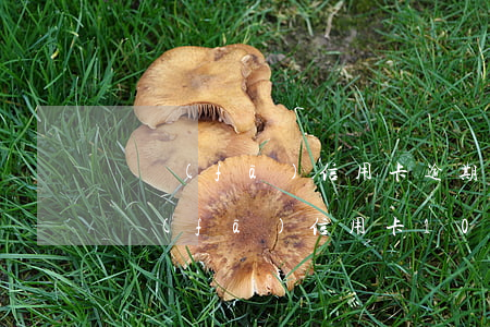 廣發(fā)信用卡逾期1400起訴(欠廣發(fā)信用卡10萬逾期5年說已經(jīng)報案處理我該怎么辦)