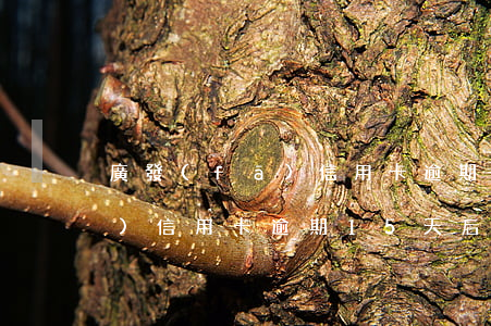 廣發(fā)信用卡逾期15天(廣發(fā)信用卡逾期15天后果)