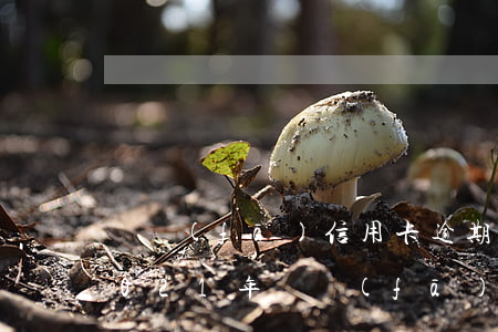 廣發(fā)信用卡逾期15萬的后果-2021年廣發(fā)信用卡逾期