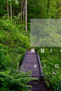 廣發(fā)信用卡逾期2021(廣發(fā)信用卡逾期20天,會(huì)不會(huì)打電話(huà)給家里人)
